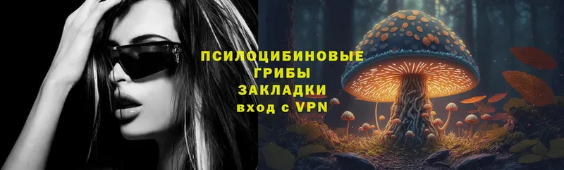 наркотики  Емва  Псилоцибиновые грибы Psilocybe 