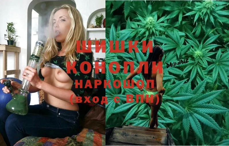 закладка  Емва  Шишки марихуана SATIVA & INDICA 